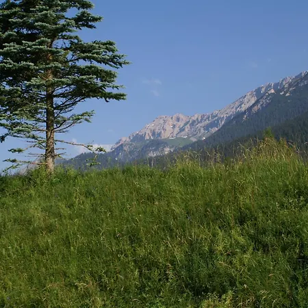 Pleiknerhof Gasthof Leutasch