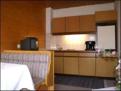 Pleiknerhof 3*