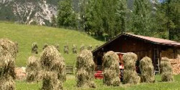 Gasthof Pleiknerhof Leutasch