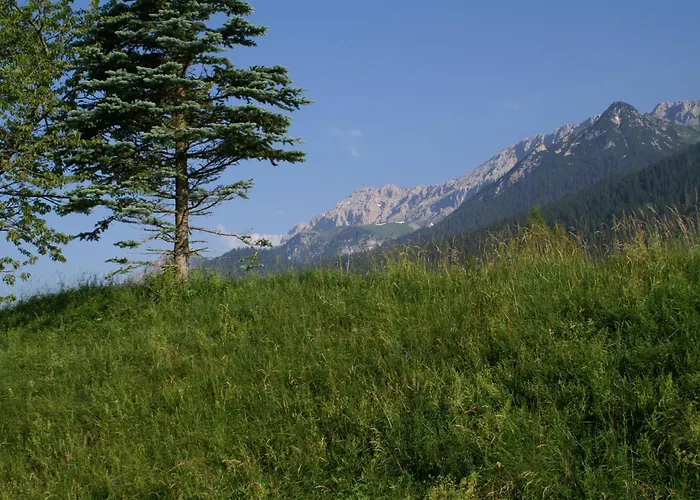 Pleiknerhof Gasthof Leutasch